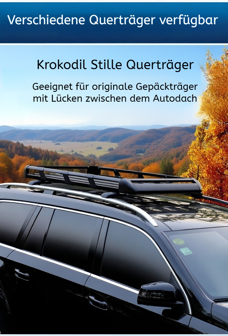 Robuster Gepäckträger für verschiedene Fahrzeugmodelle