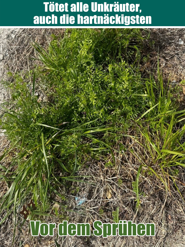 Bio-Unkrautvernichter - 3 Min. Sofortwirkung - 5 Jahre unkrautfrei - Glyphosatfrei🌱🛡️