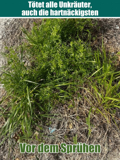 Bio-Unkrautvernichter - 3 Min. Sofortwirkung - 5 Jahre unkrautfrei - Glyphosatfrei🌱🛡️