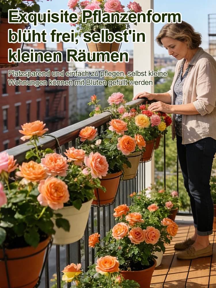 【Limitierter Online-Sale】【100 % Überlebensrate】Hydroponische „Königin der Rosen“ | Ohne Erde kultivierbar | 200 Tage Blütenpracht ✨