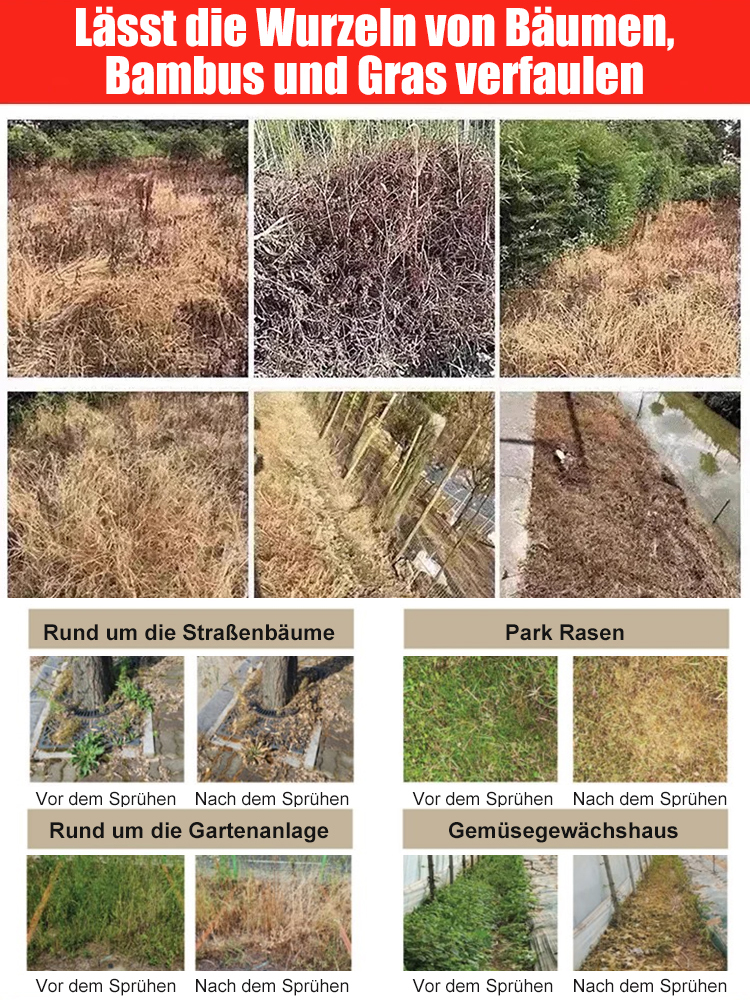Bio-Unkrautvernichter - 3 Min. Sofortwirkung - 5 Jahre unkrautfrei - Glyphosatfrei🌱🛡️