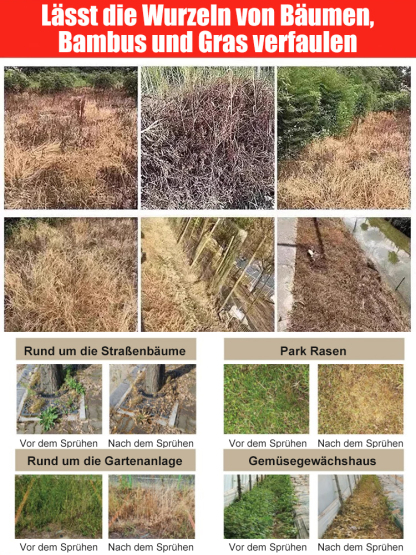 Bio-Unkrautvernichter - 3 Min. Sofortwirkung - 5 Jahre unkrautfrei - Glyphosatfrei🌱🛡️