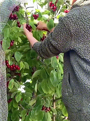 9-93bf9b5fa9ad02bab16fedf3e72a4a84.gif