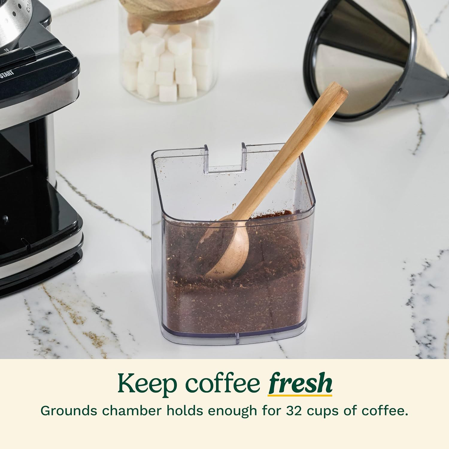 Conical Burr Coffee Grinder, 18 Grind Settings for Espresso, Pour Over, and French Press, Stainless Steel