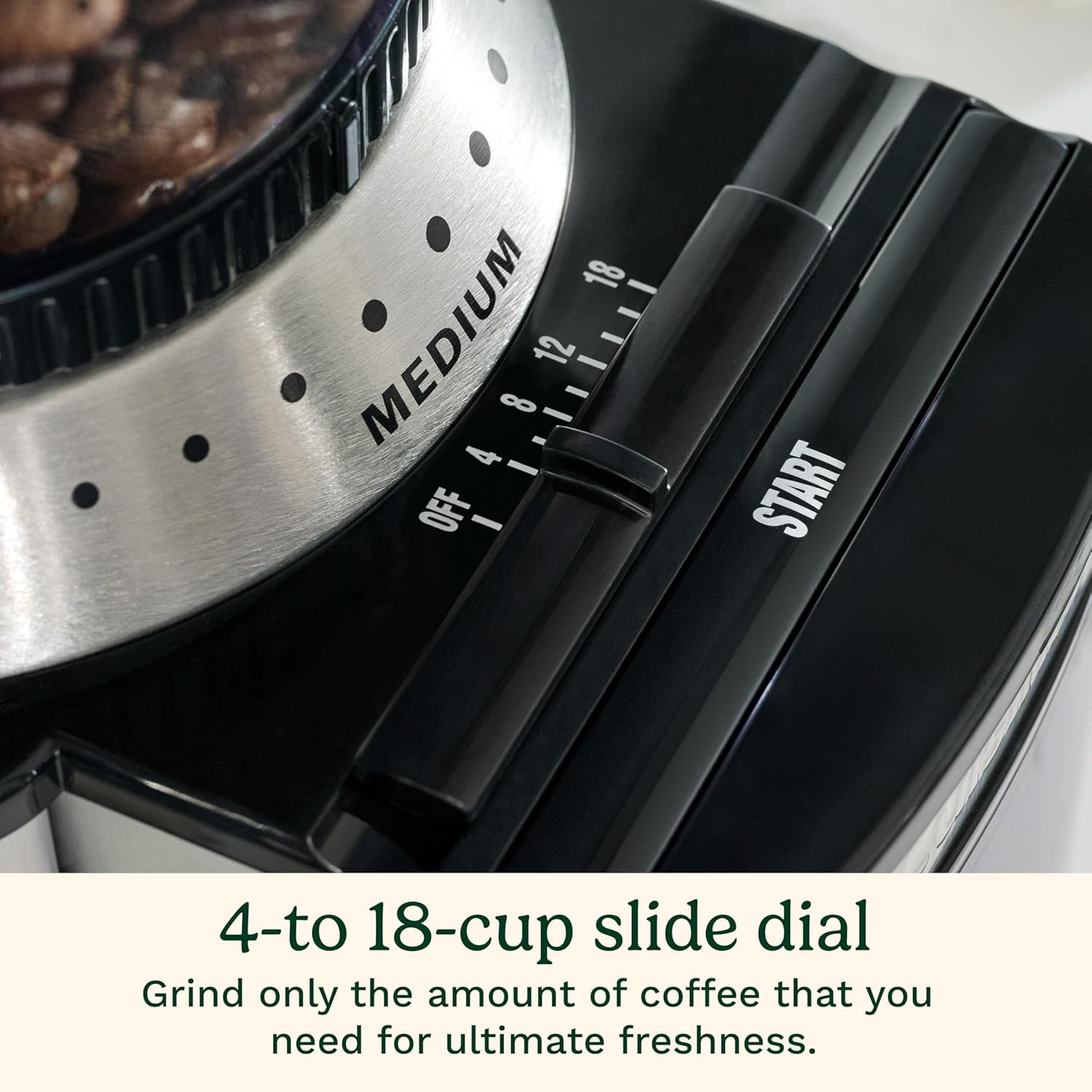 Conical Burr Coffee Grinder, 18 Grind Settings for Espresso, Pour Over, and French Press, Stainless Steel