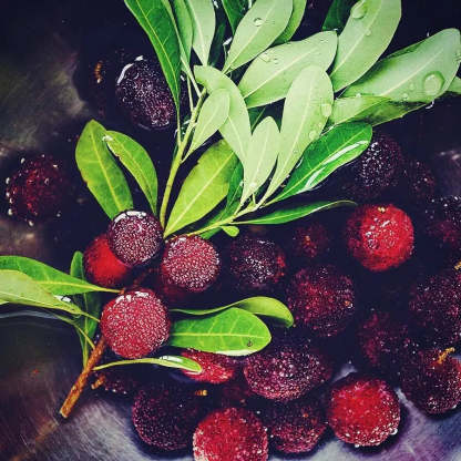 Obří borůvka: Velikost pingpongového míčku, ⭐ kombinovaná chuť jahod a třešní