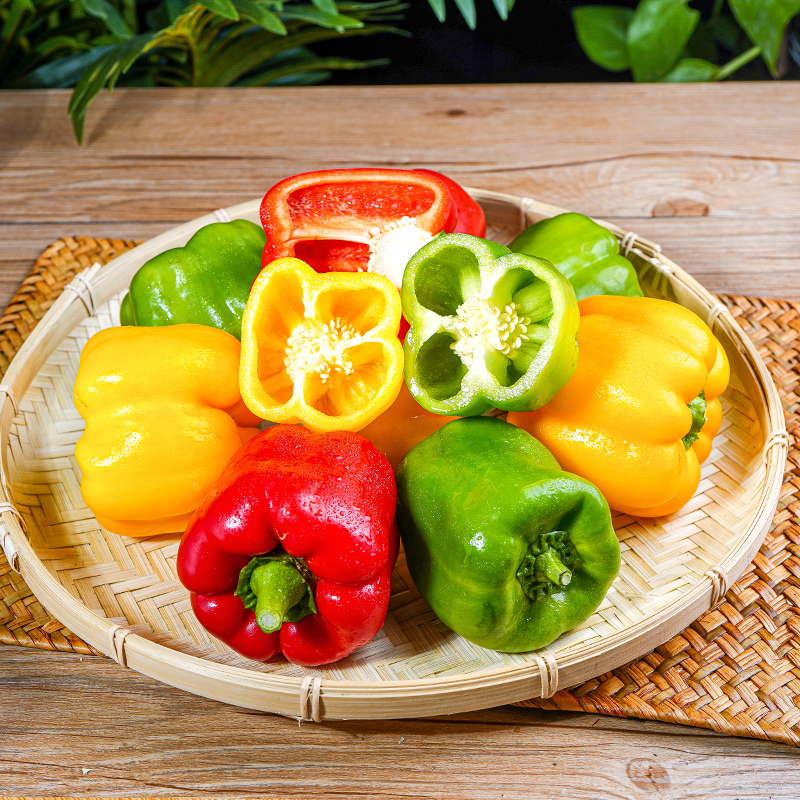 🫑Colorful Sweet Pepper Seeds Organic