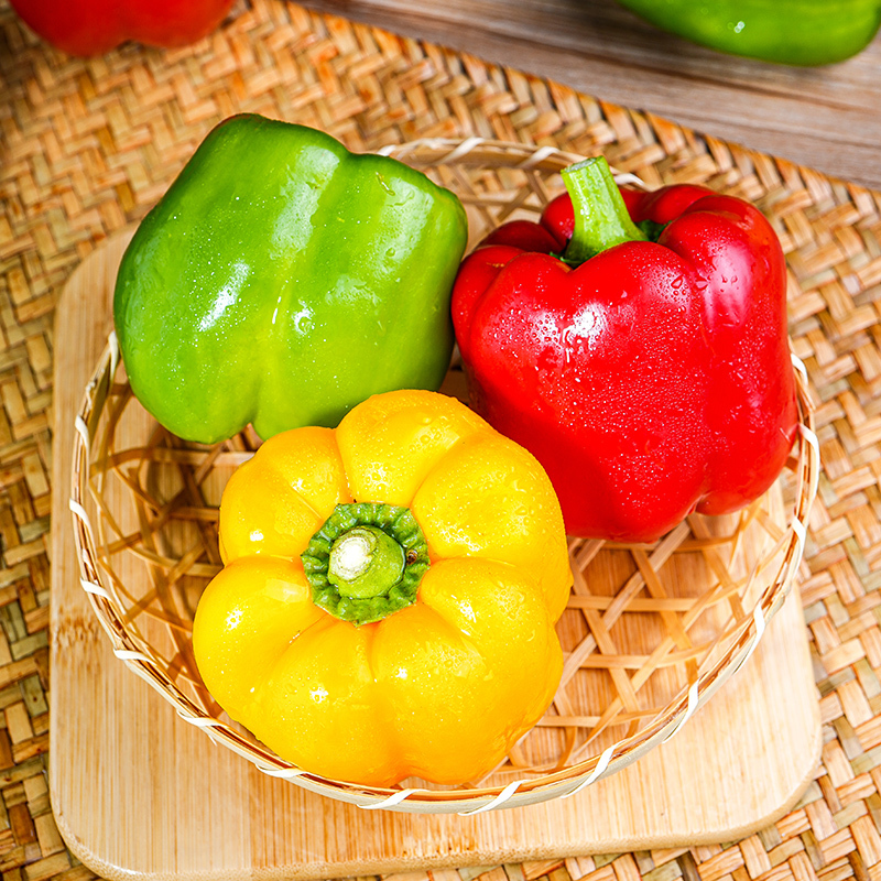 🫑Colorful Sweet Pepper Seeds Organic