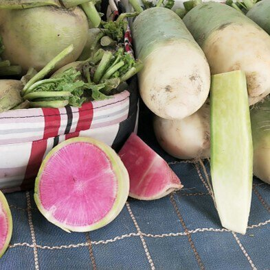 🥕Radish Watermelon Vegetable