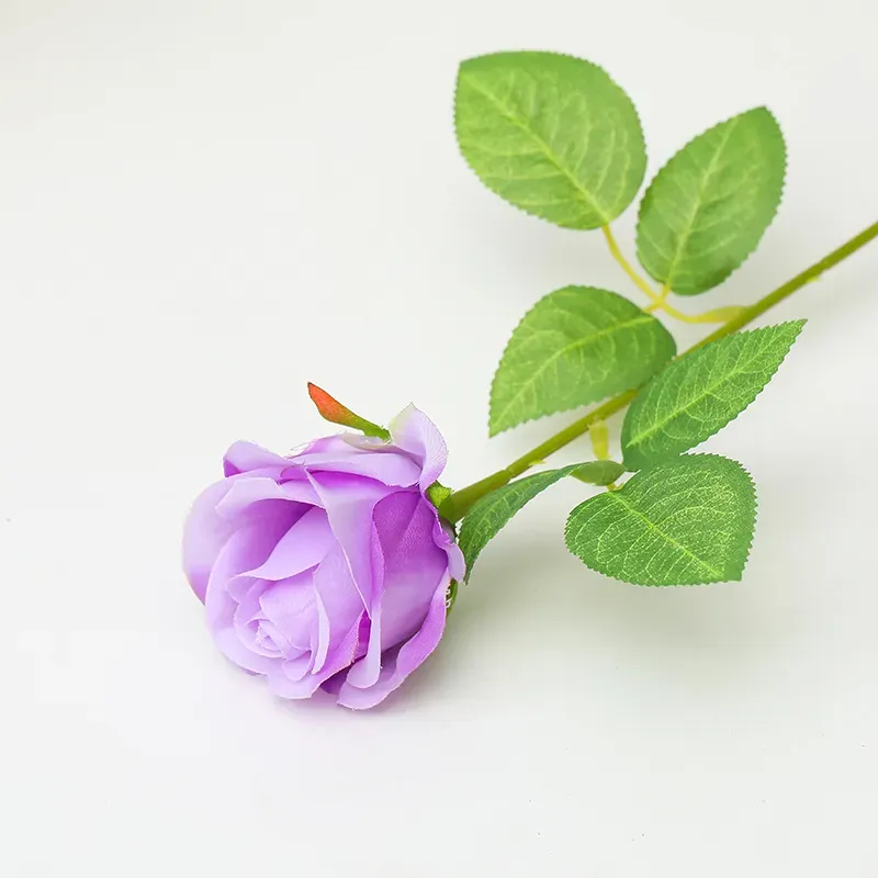 🔥trandafiri realiști