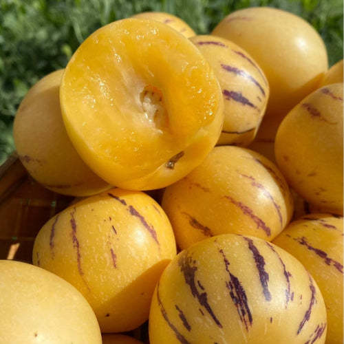 🍈 Екзотичен плод Пепино (Pepino Melon)