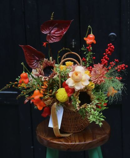 🎄Christmas Bell Peppers Seeds🌶️