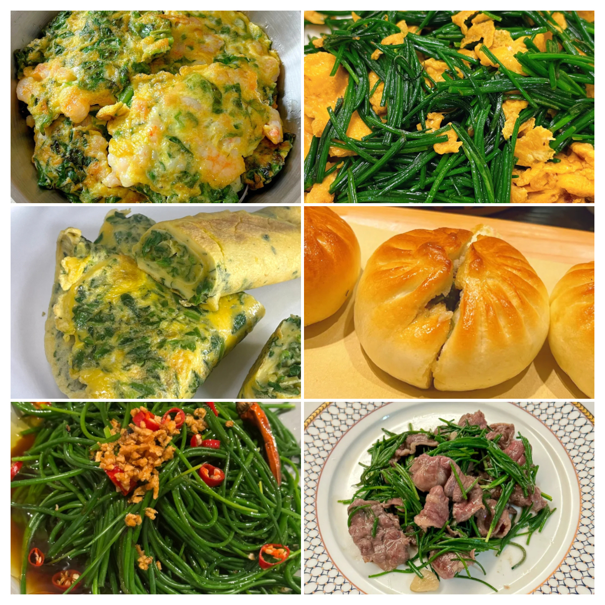 🌿 Wild Onion Seeds (Allium polyrhizum) 🌍 Exotic Flavor, Year-Round Harvest!