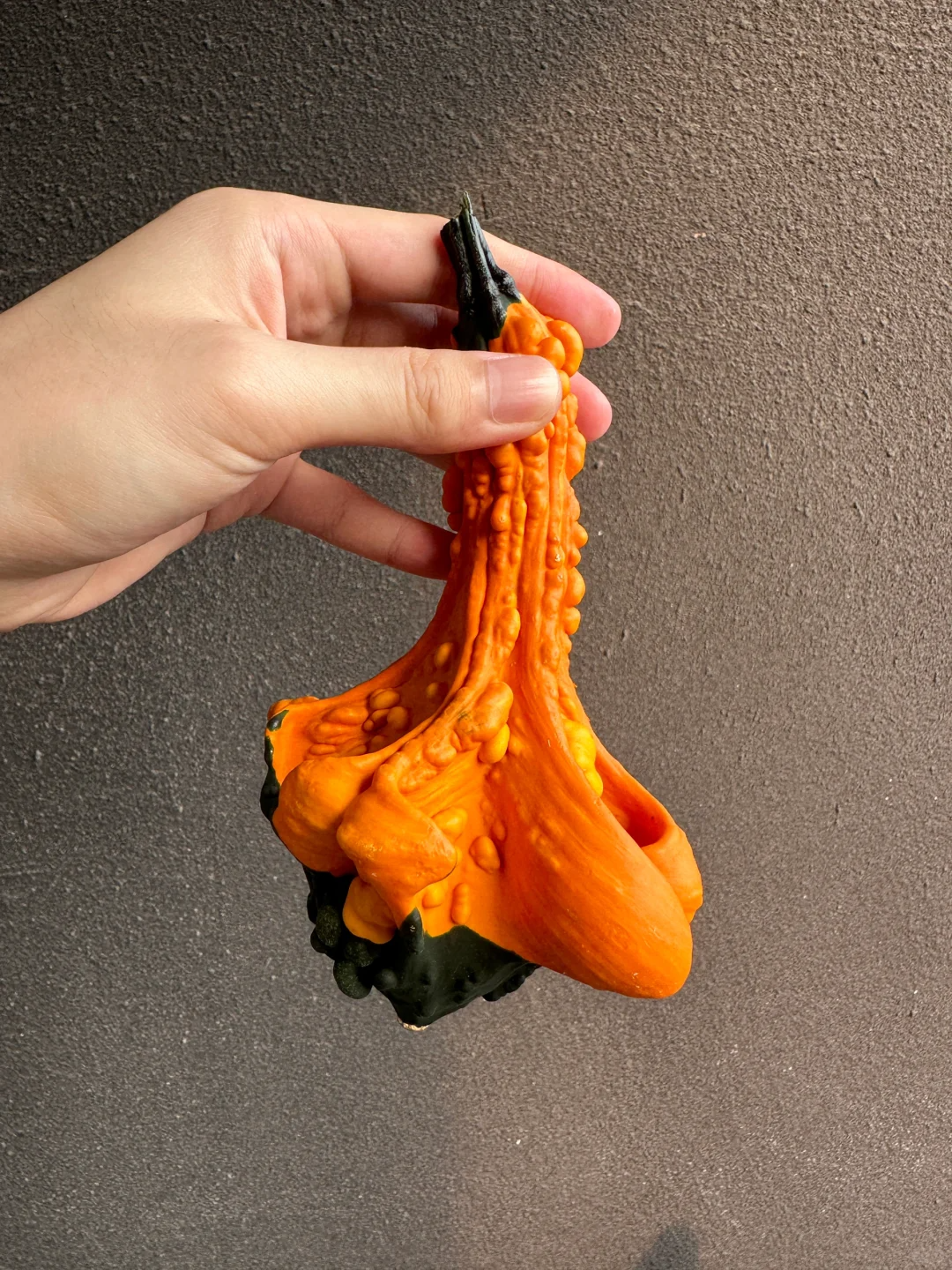 White Swan Pumpkin Seeds🦢🎃Rare Pumpkins