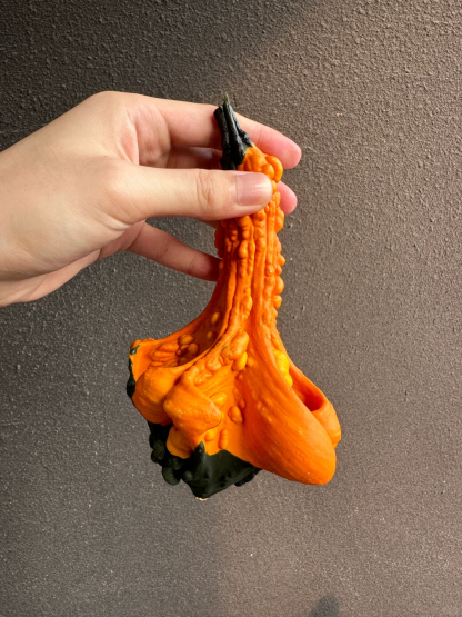 White Swan Pumpkin Seeds🦢🎃Rare Pumpkins