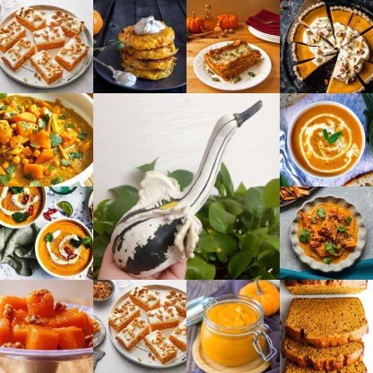 White Swan Pumpkin Seeds🦢🎃Rare Pumpkins