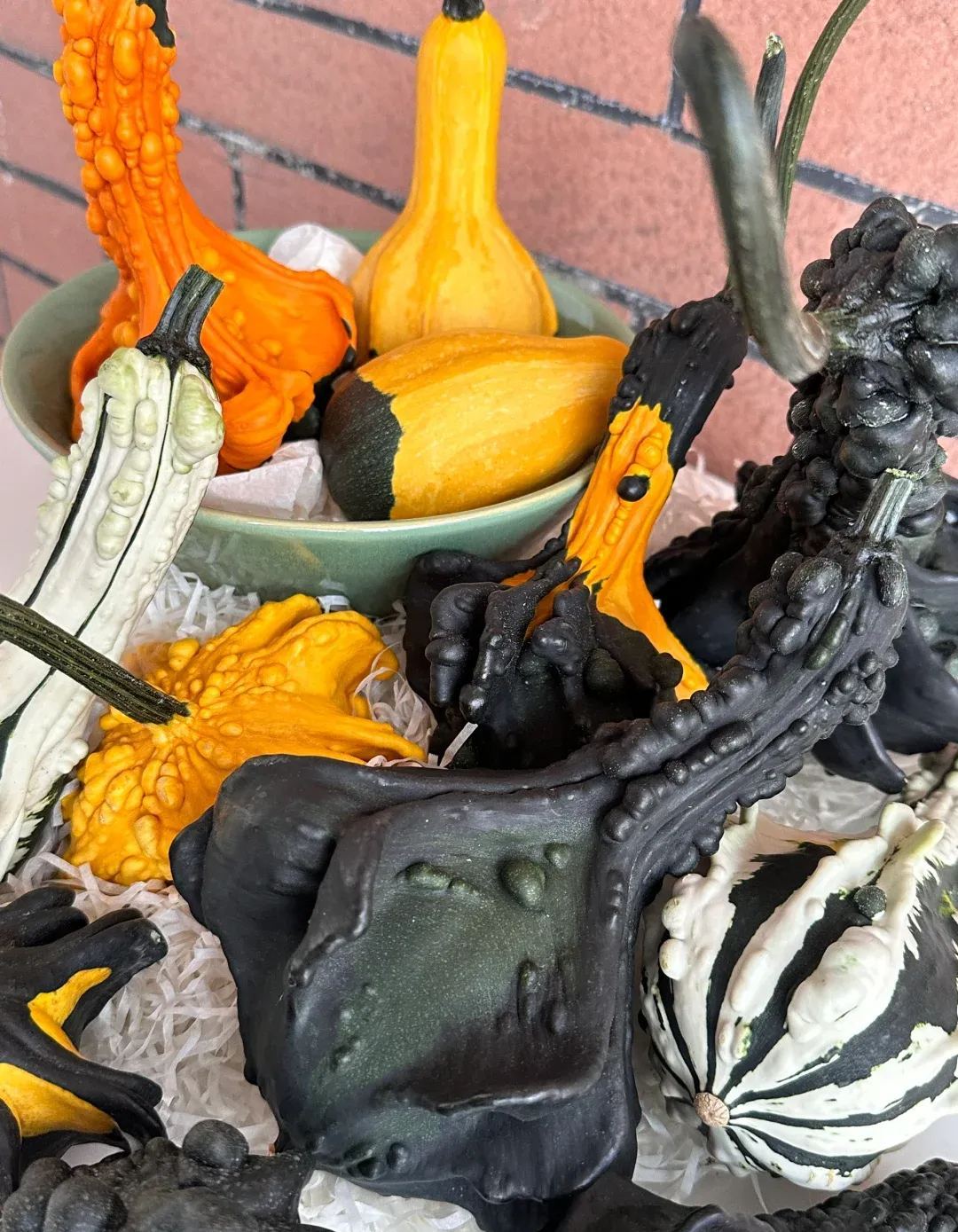 White Swan Pumpkin Seeds🦢🎃Rare Pumpkins