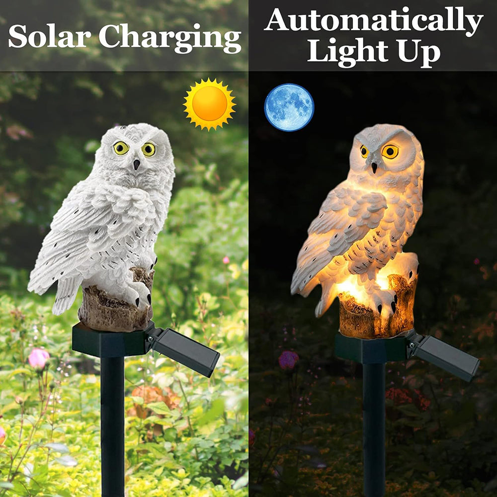 🦉✨Zestaw lamp ogrodowych Solar Owl LED Outdoor