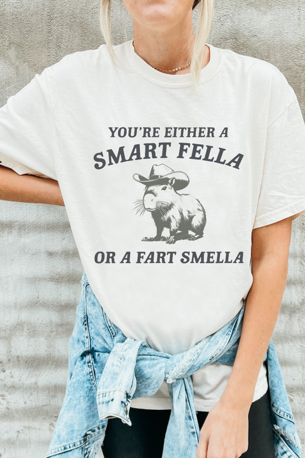 Are You A Smart Fella Or Fart Smella Tee For Women