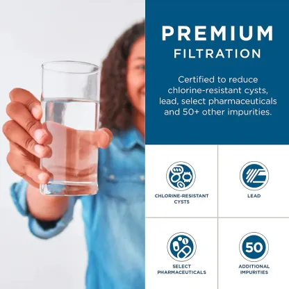 GE RPWFE refrigerator water filter - White