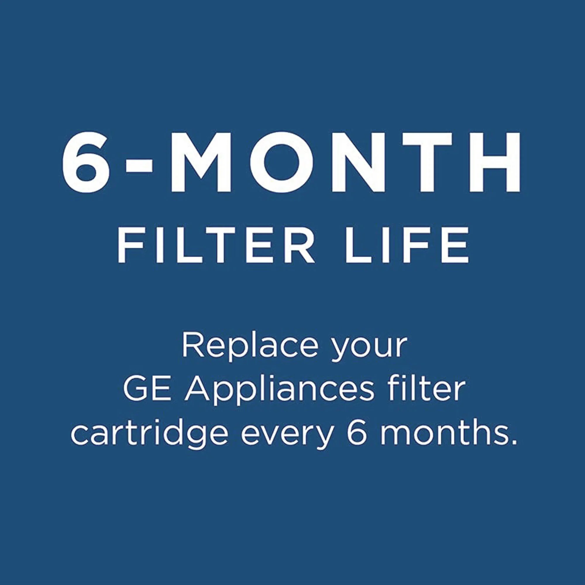 GE RPWFE refrigerator water filter - White