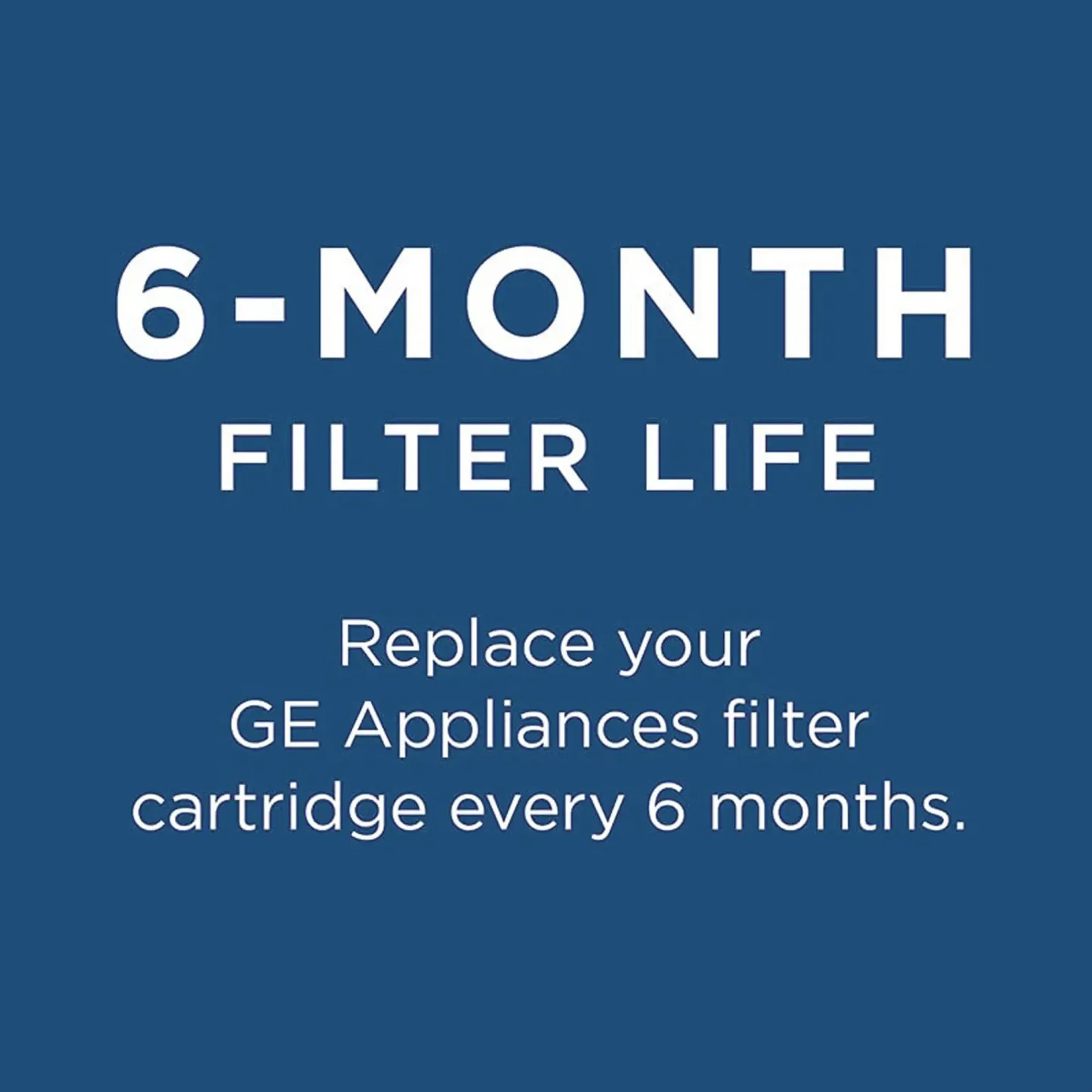 GE RPWFE refrigerator water filter - White