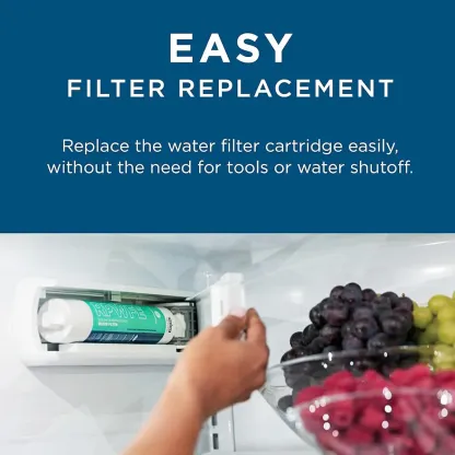 GE RPWFE refrigerator water filter - White