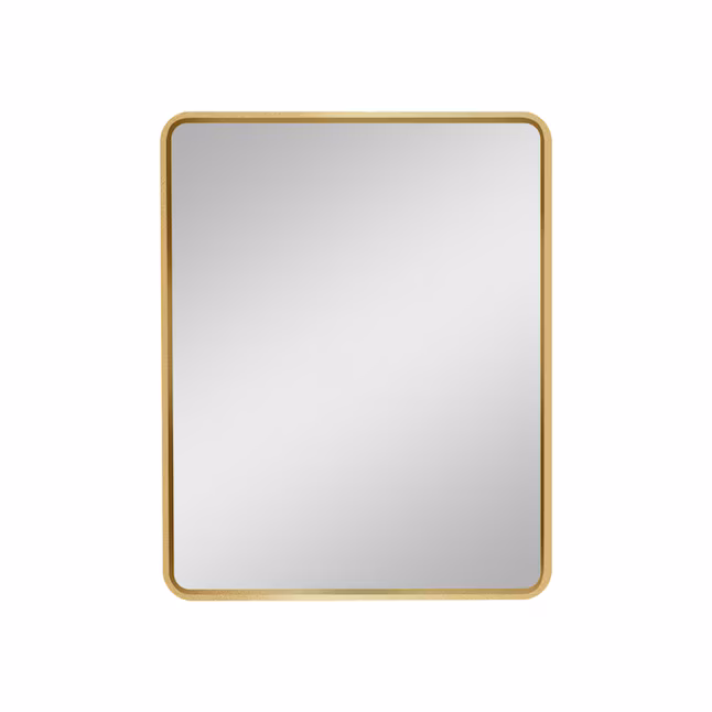20-in x 28-in Surface/Recessed Mount Gold Mirrored Rectangle Medicine Cabinet