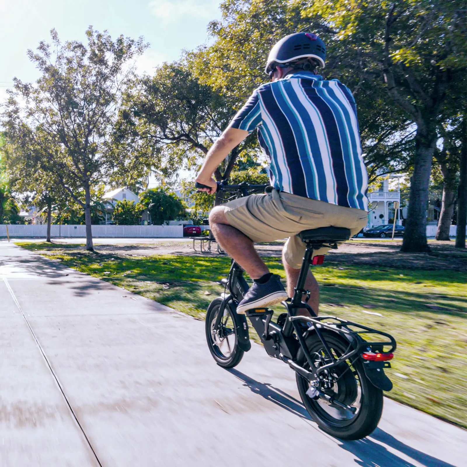 Blutron EB350F Folding Ebike