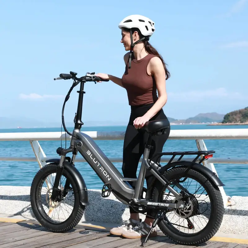 Blutron EB750S Ebike