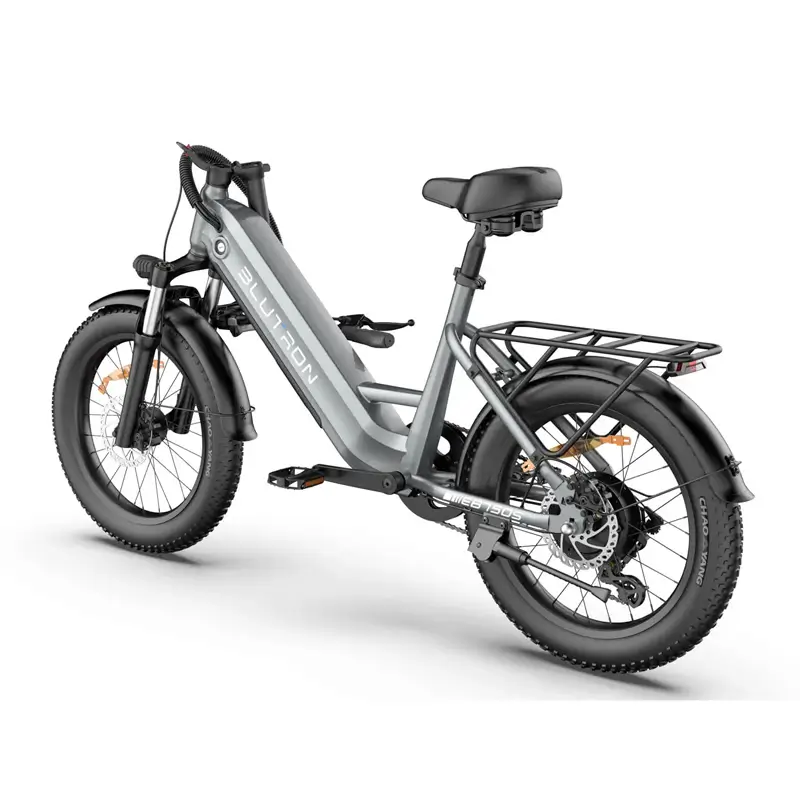 Blutron EB750S Ebike