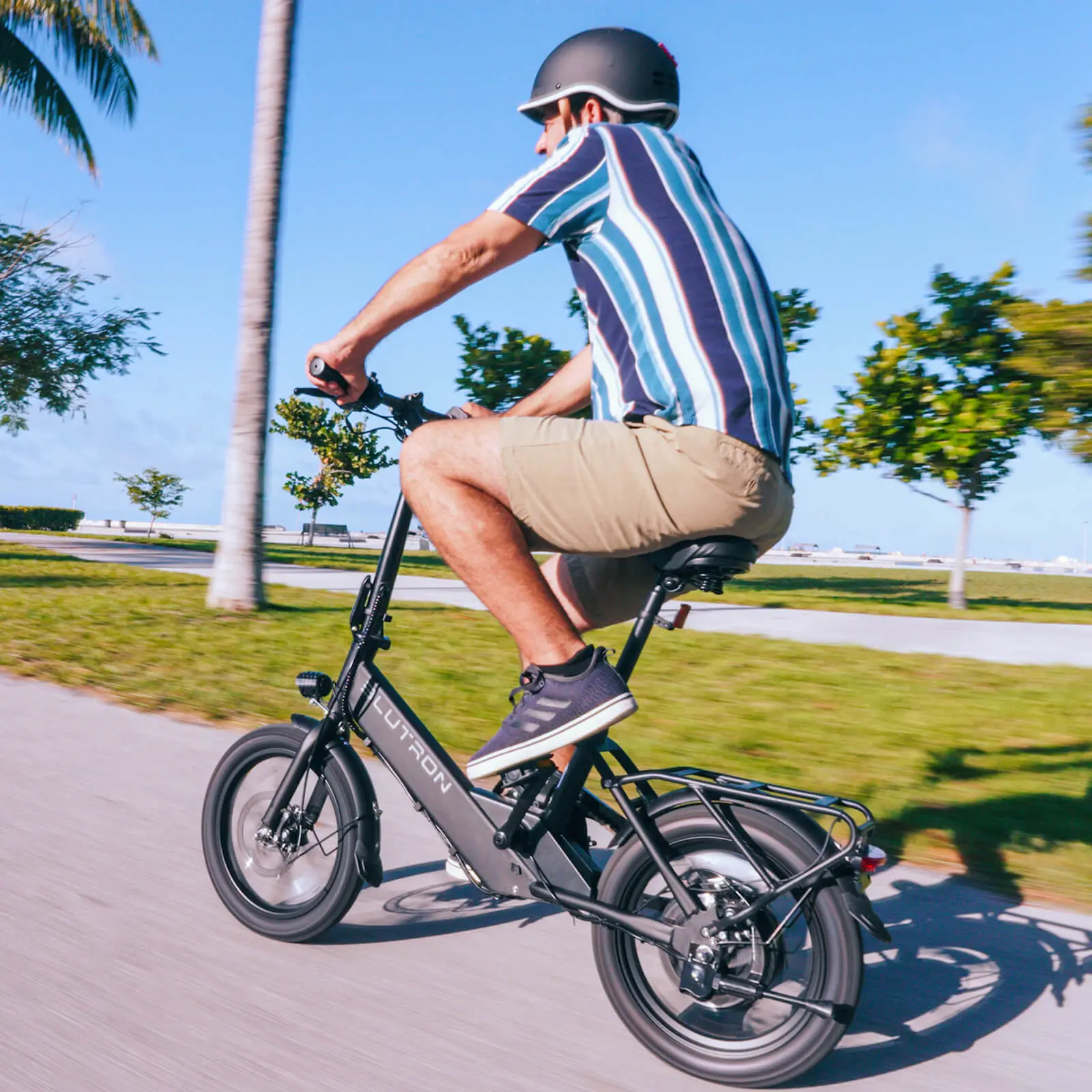 Blutron EB350F Folding Ebike