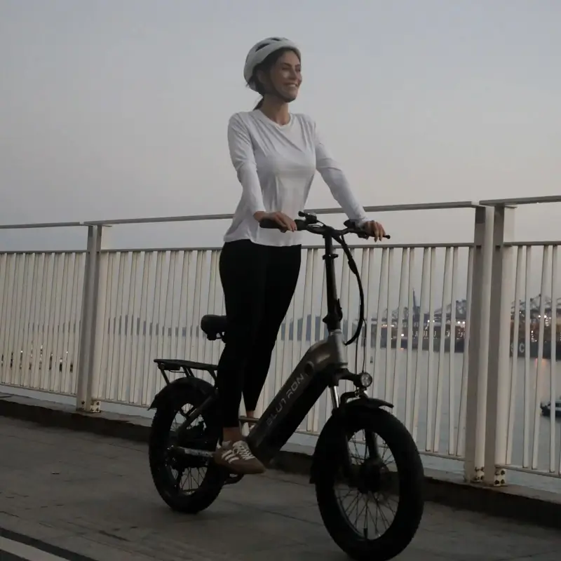 Blutron EB750S Ebike