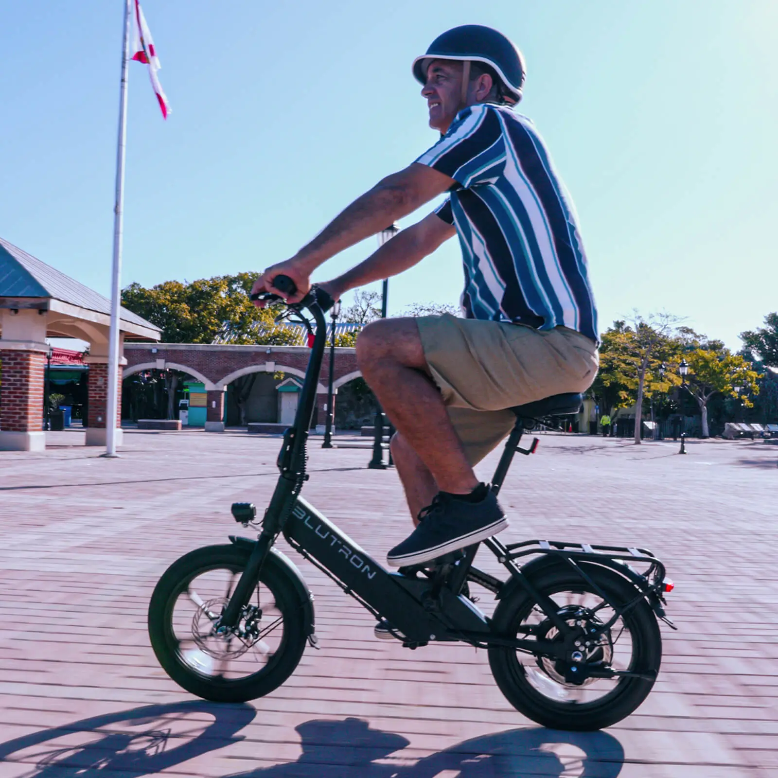 Blutron EB350F Folding Ebike