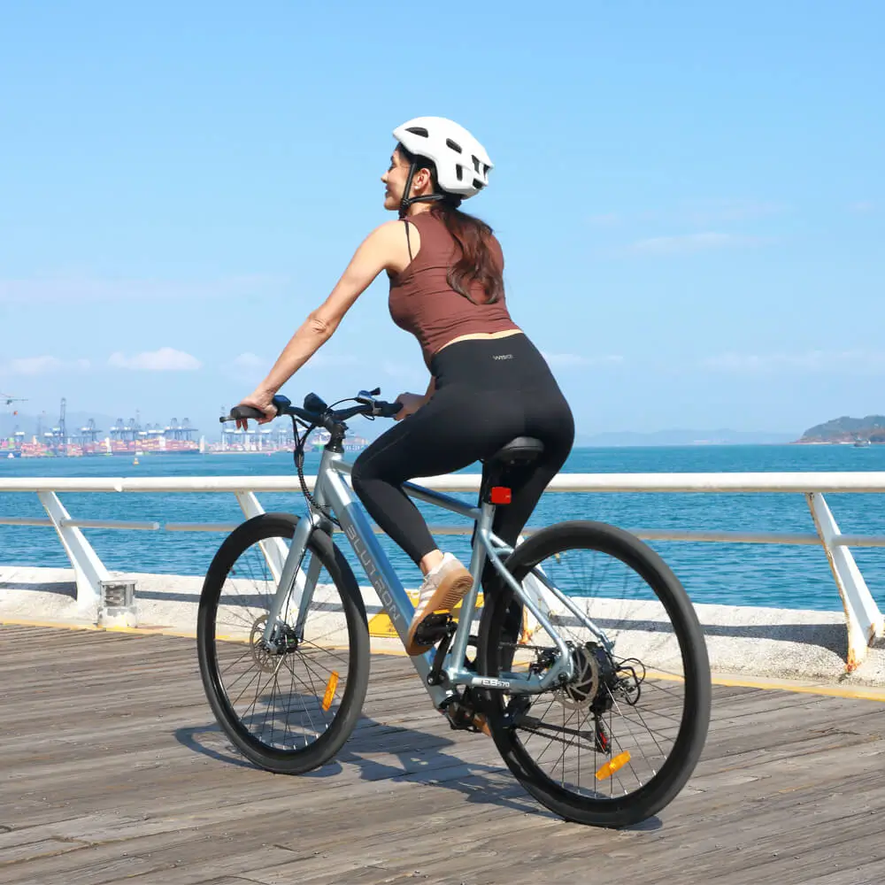 Blutron EB570 Ebike