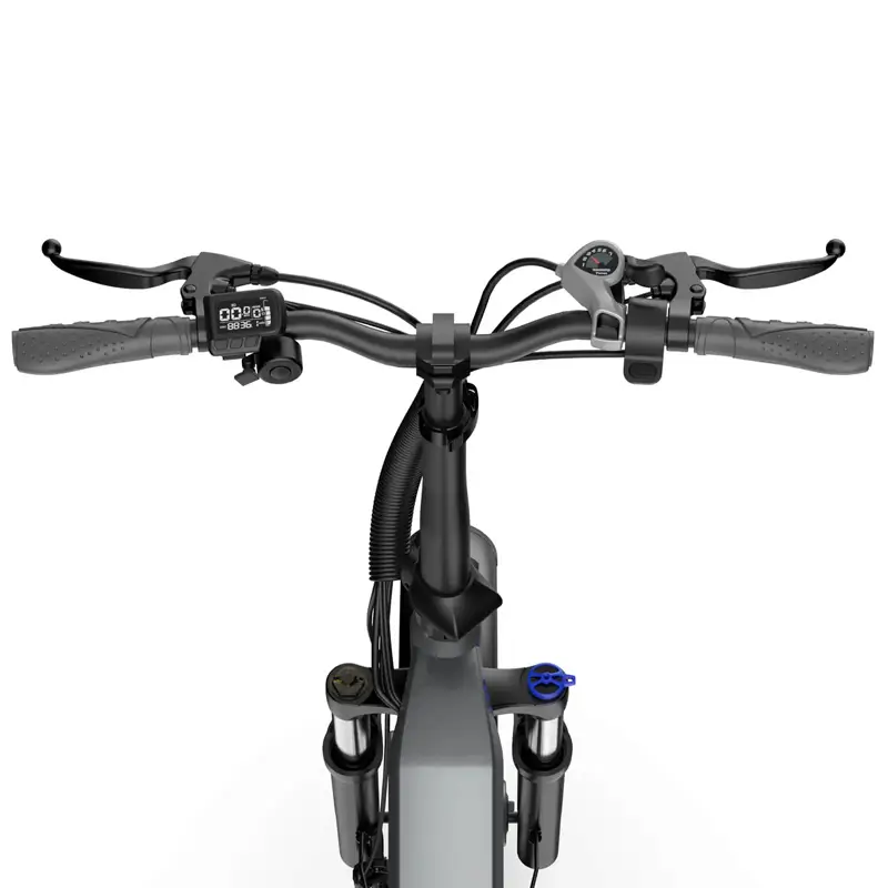 Blutron EB750S Ebike