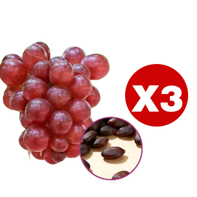 Queen Nina Traubenkerne mit Noten von hochwertigem Rotwein