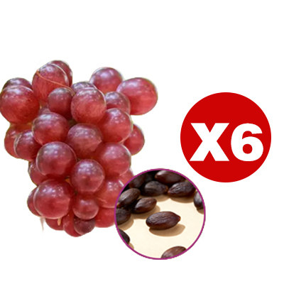 Queen Nina Traubenkerne mit Noten von hochwertigem Rotwein