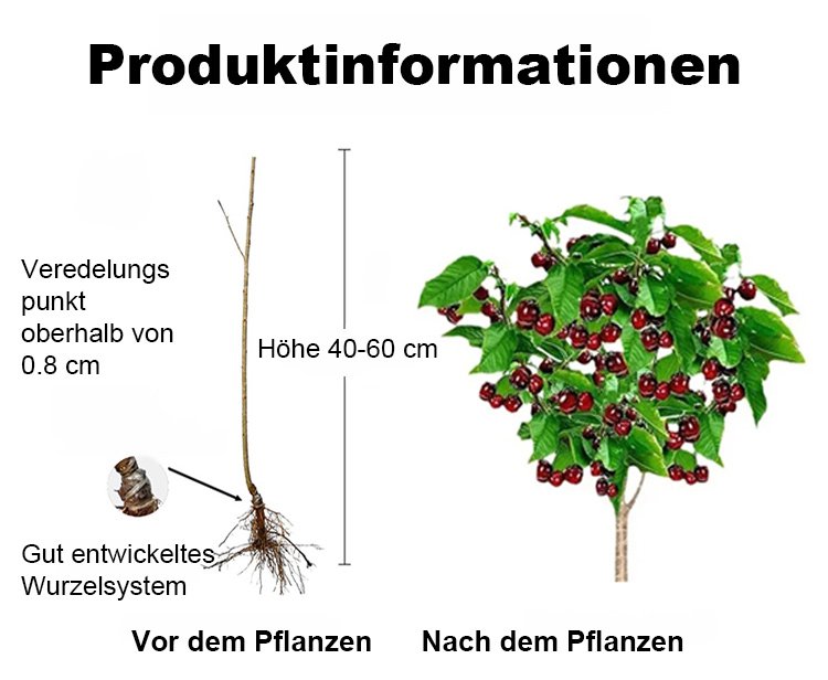 c56a7ee5712d5248a927ed0ae03d1516.jpg