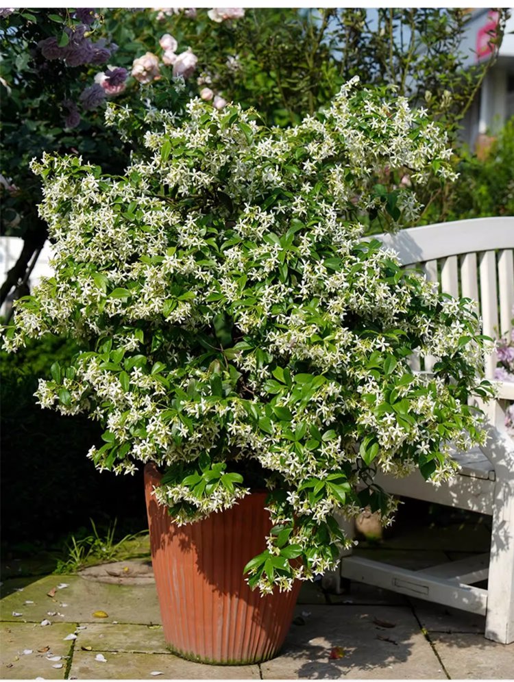 德语_20.jpg