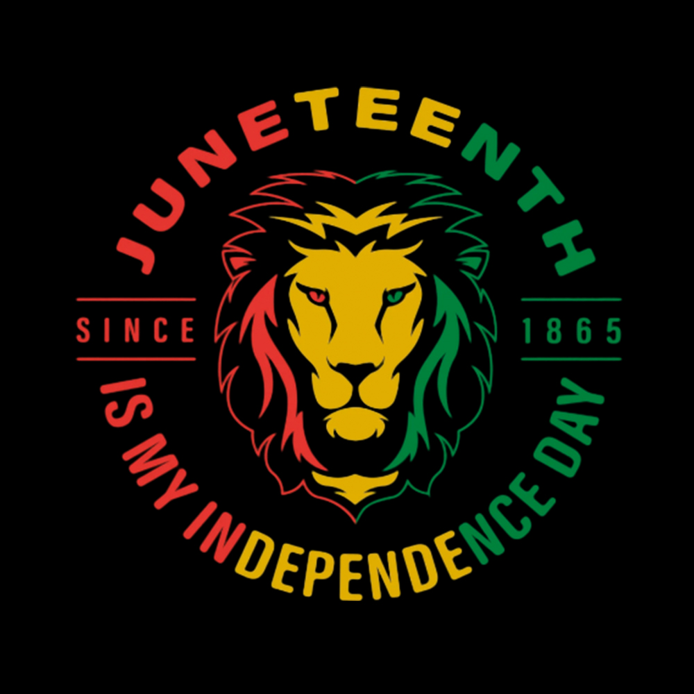 Juneteenth History Washed T-Shirt