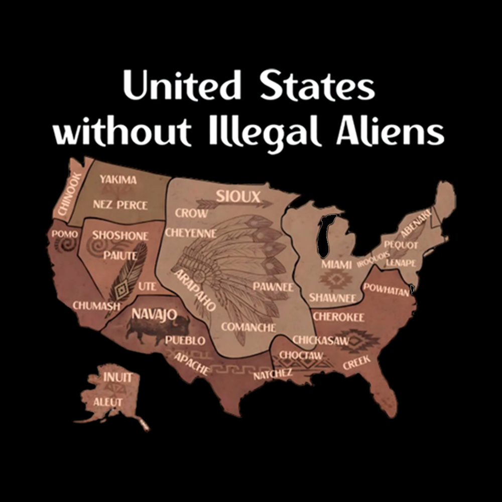 United States Without Illegal Aliens Washed T-Shirt