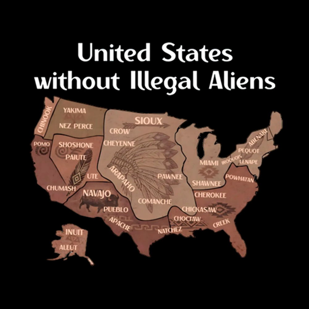 United States Without Illegal Aliens Classic T-Shirt