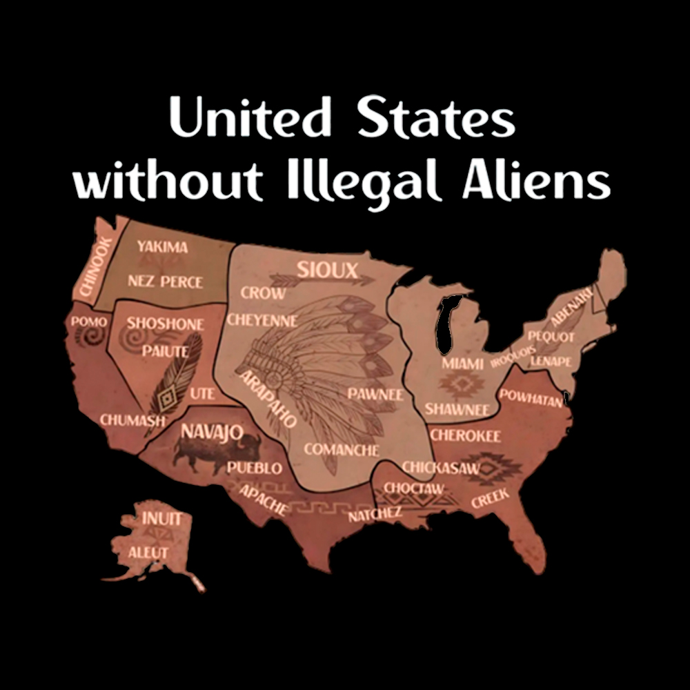 United States Without Illegal Aliens Cropped T-Shirt
