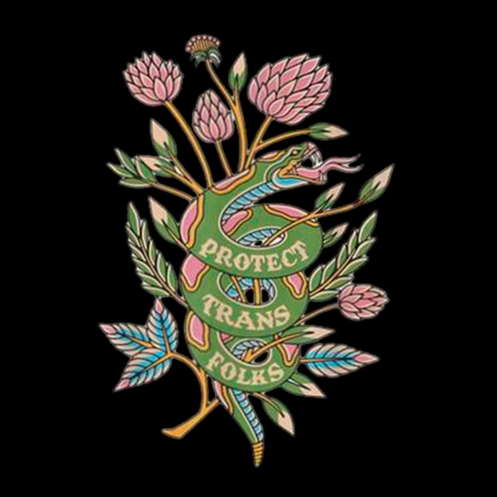 Protect Trans Folks Classic T-Shirt