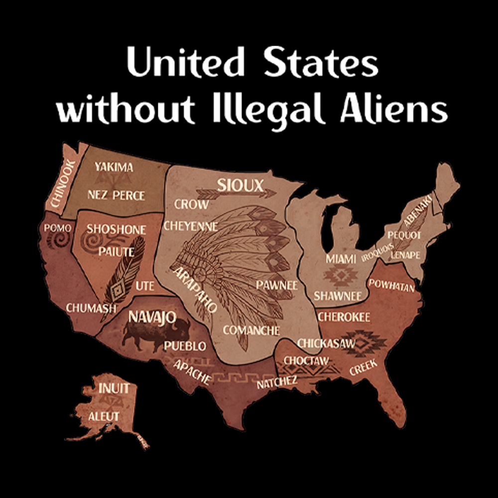 United States Without Illegal Aliens Women's Washed Tank Top