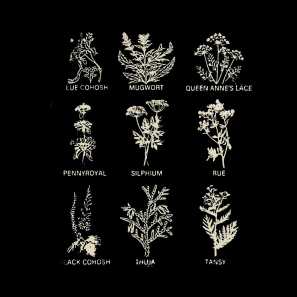 My Body My Choice Abortion Plant Herbs V-Neck Classic T-Shirt