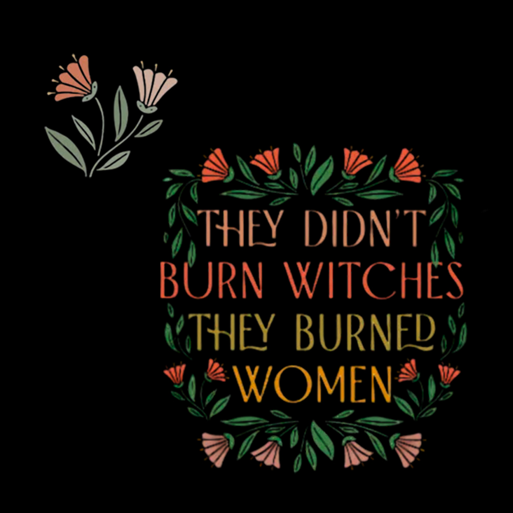 They Didn't Burn Witches They Burned Women Classic T-Shirt