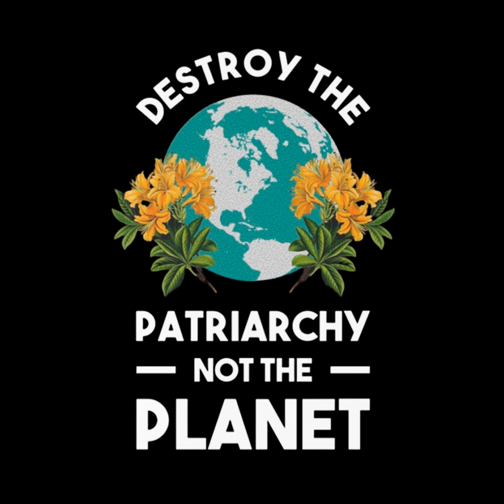 Destroy The Patriarchy Not The Planet Washed T-Shirt