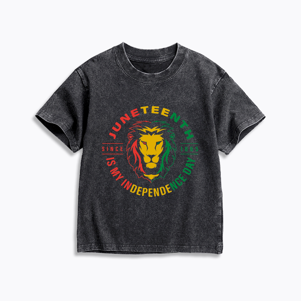 Juneteenth History Kids Washed T-Shirt